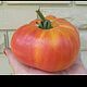 Сортовой томат Желтый мрамор. Семена, саженцы. Вкусные овощи. Ярмарка Мастеров.  Фото №6