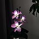 Ночник орхидеи "Фивея", Ночники, Сургут,  Фото №1