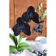 Орхидея чёрная цветущая фаленопсис в кашпо декоративная не живая. Цветы. Именные сувениры и деревянная упаковка. Ярмарка Мастеров.  Фото №5