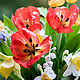 Тюльпаны из холодного фарфора, Растения, Новокузнецк,  Фото №1