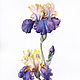 Фиолетовый бородатый ирис. Картины. Галина (mirrawatercolor). Интернет-магазин Ярмарка Мастеров.  Фото №2