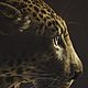 Картина пастелью Леопард, дикая природа. Картины. Azzurro Art. Интернет-магазин Ярмарка Мастеров.  Фото №2