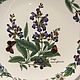 Винтаж: ТАРЕЛКА. HERBS by ROYAL WORCESTER. БЕСПЛАТНАЯ ДОСТАВКА!. Тарелки винтажные. AntiqueUK2. Интернет-магазин Ярмарка Мастеров.  Фото №2