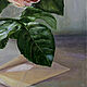 A letter and a rose. oil painting. Pictures. Andrey Smolensky painter (andreysmolensky). My Livemaster. Фото №5