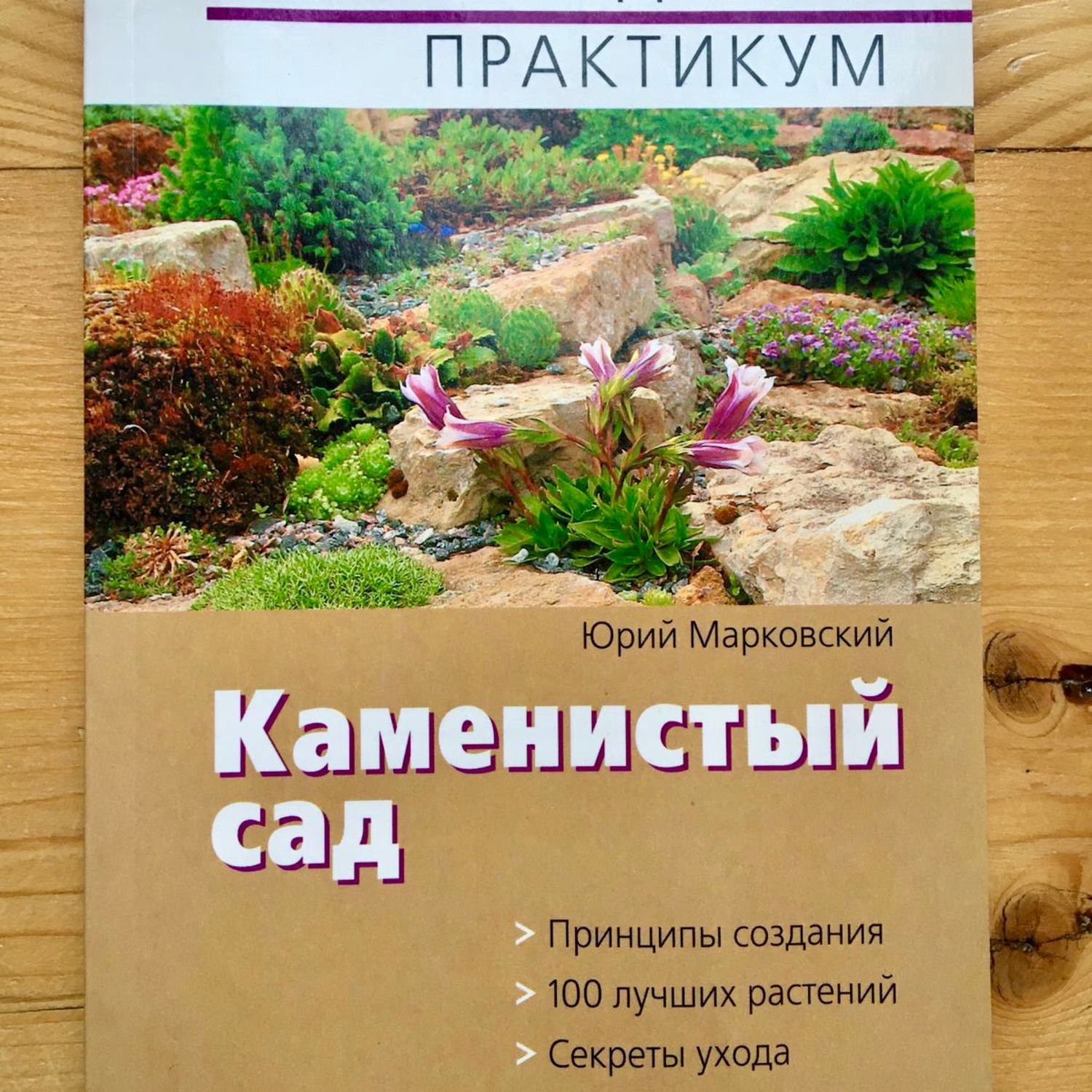 Лучшая книга каменистого