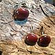Bronze set with red Jasper. Earrings and ring, Jewelry Sets, St. Petersburg,  Фото №1