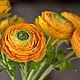 Заказать Ранункулюсы (жарки). Myclayflowers_hm. Ярмарка Мастеров. . Элементы интерьера Фото №3
