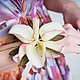 Украшения из живых цветов!. Украшения для цветочных горшков. Юлия (glameliamgn). Ярмарка Мастеров.  Фото №4