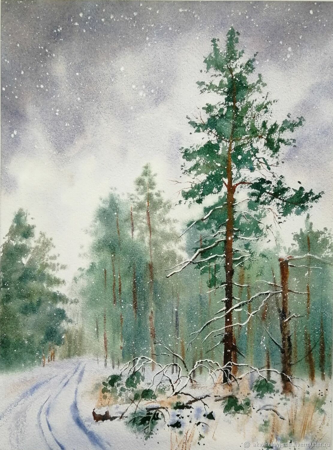  Зимний сосновый лес, Картины, Владивосток,  Фото №1