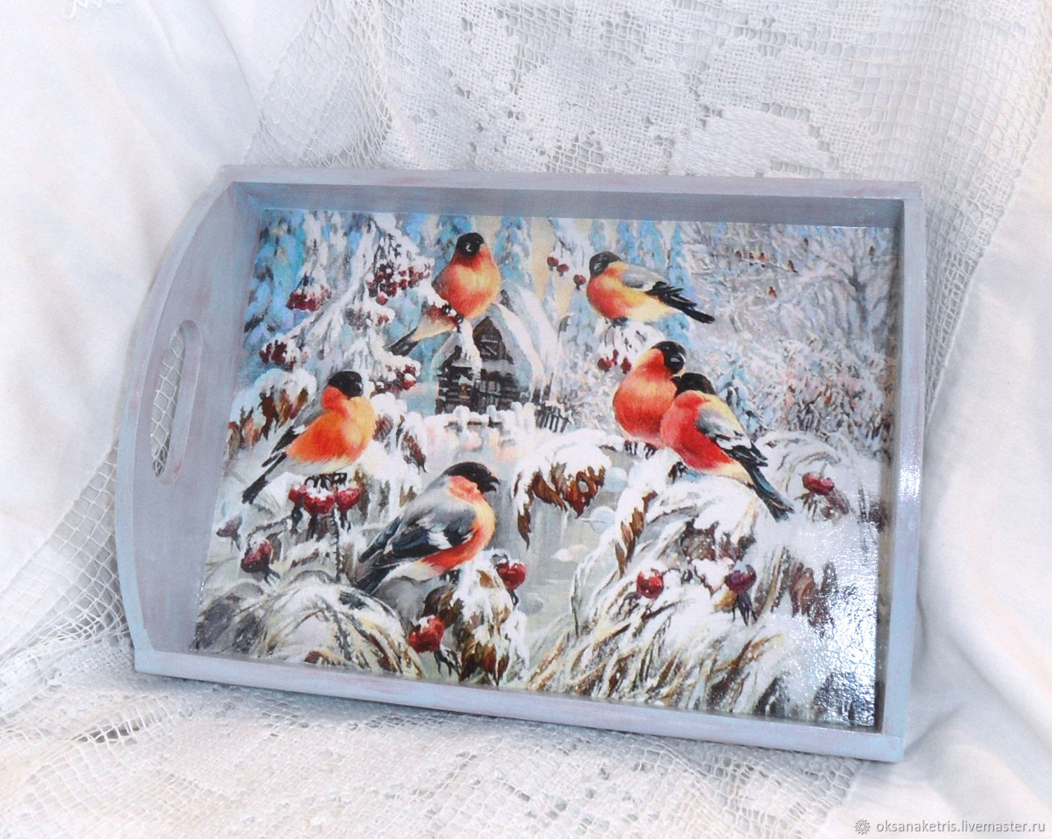 Tray Bullfinches, Trays, Novosibirsk,  Фото №1