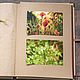 Herbarium album or photo 'Fig' (A4, 30 kraft sheets). Photo albums. Albums and notebooks (Anna). My Livemaster. Фото №4