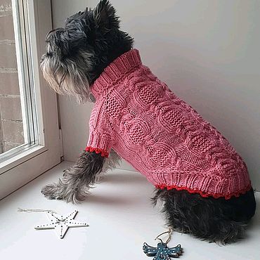 Вязание одежды для собак своими руками: подробная инструкция