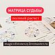 Матрица судьбы.  Вся информация, и прогноз на год , Браслет из бусин, Москва,  Фото №1