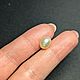 Дикий Морской Жемчуг. Крема 3,18ct, Минералы, Москва,  Фото №1
