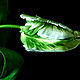 Necklace 'Green tulips' (agate, jade, chrysoprase). Necklace. Pani Kratova (panikratova). My Livemaster. Фото №6