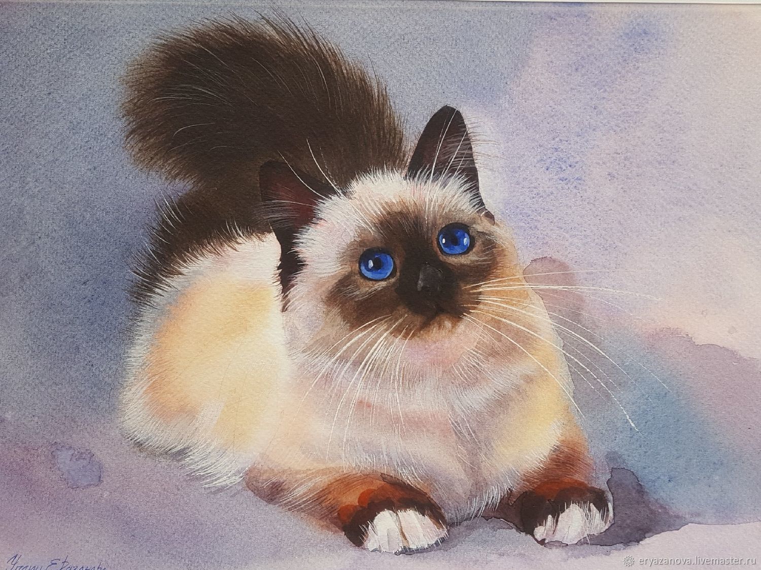 Сиамская кошка картина