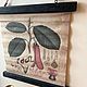 Постер с ботаническим рисунком. Панно. VintageUsadba. Интернет-магазин Ярмарка Мастеров.  Фото №2