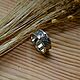 Perunov color-Overcome the grass with the Valkyrie symbol, Rings, Kostroma,  Фото №1