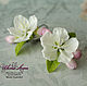 Earrings with flowers of Apple tree from polymer clay. Decoration with flowers of Apple trees from cold porcelain
