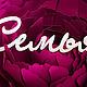 Семья