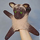 Cat. Glove puppet. Bi-BA-Bo, Puppet show, Moscow,  Фото №1