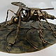 The mosquito, Model, Vitebsk,  Фото №1