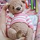 Master class on sewing Teddy bears (online), Courses and workshops, Kujbyshevo,  Фото №1