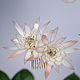 The crest is the Queen of the night. Comb. PandaStudio (glossyfleur). My Livemaster. Фото №6