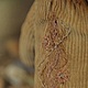 жить по сердцу. Мягкие игрушки. Julsen. Ярмарка Мастеров.  Фото №4