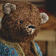  Резерв. Мишки Тедди. Татьяна Петрова Lab.toys. Ярмарка Мастеров.  Фото №5