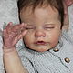 Заказать Primrose asleep by LLE. Ирина Хохлова. Ярмарка Мастеров. . Куклы Reborn Фото №3