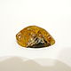 Baltic amber beautiful piece St-186. Beads1. Amber shop (vazeikin). My Livemaster. Фото №4
