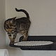 Order Hammock wicker round ' cat's dream'. VIMBESK. Livemaster. . Pet Hammock Фото №3