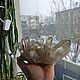 Горный хрусталь. Камни. Минералы из недр.. Ярмарка Мастеров.  Фото №12