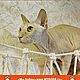 Работа для примера "Котодром". Когтеточки. Мы Бобры. Ярмарка Мастеров.  Фото №5