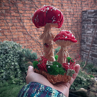 Лесные грибы как украшение двора и сада