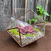 Цветы и флористика handmade. Livemaster - original item Florarium geometric Icosahedron copper for succulents. Handmade.