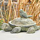 Turtle figurine with a bird concrete in Antique style for the garden, Garden figures, Azov,  Фото №1