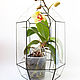 Florarium. Geométrica florero para florariuma. Florarium para las plantas. Florariums. Glass Flowers. Ярмарка Мастеров.  Фото №5
