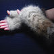 Woman's knitted fingerless gloves Seven colors of Leo, Mitts, Klin,  Фото №1