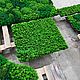 Панель из мха 70*70см. Фитокартины. Green.Box. Интернет-магазин Ярмарка Мастеров.  Фото №2
