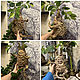 Фигурка интерьерная корень Мандрагоры Harry Potter mandragora. Интерьерная кукла. LAVKA Katrin. Ярмарка Мастеров.  Фото №4