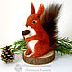 Manual squirrel – toy interior / protein felted wool /felt, Felted Toy, Sochi,  Фото №1