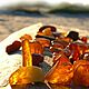 Amber and Oud (Янтарь и Уд) The Flaming Cand, Ароматизаторы, Самара,  Фото №1