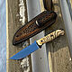 Knife 'BR-1' EP 766, Knives, Chrysostom,  Фото №1