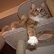 High house for cats to buy. Fits a large cat, Scratching Post, Ekaterinburg,  Фото №1