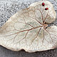 Ceramic leaf with ladybugs, Soap box, Moscow,  Фото №1