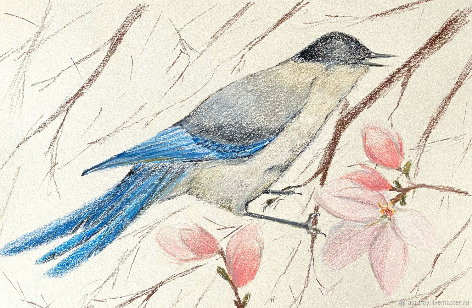 'Blue Magpie' pencils (flowers, white, birds), Pictures, Korsakov,  Фото №1