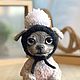 Чих Риччи. Мягкие игрушки. Тамара Кашутина (CuteLittlePets). Ярмарка Мастеров.  Фото №6