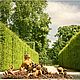 Versailles Park Summer landscape with fountain interior photo, Fine art photographs, Moscow,  Фото №1